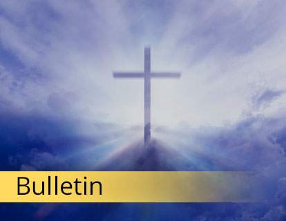 Bulletin -  Opens new window, and the bulletin may not be accessible.